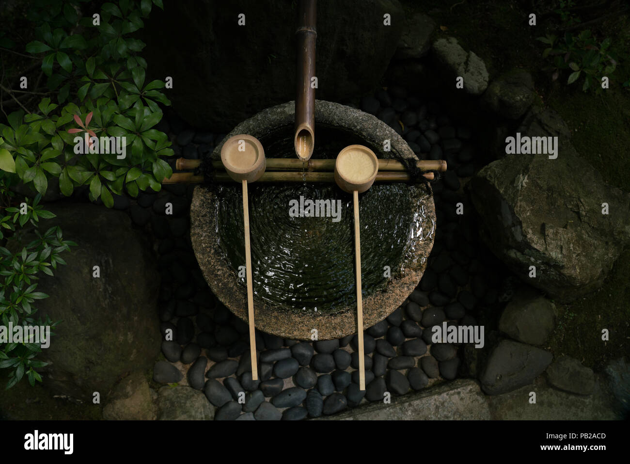 Tsukubai (蹲踞) ou d'un lavabo à l'entrée d'Soihoji Kokedera, moss garden à Kyoto. Les visiteurs se purifier avant d'entrer dans l'eau. Banque D'Images