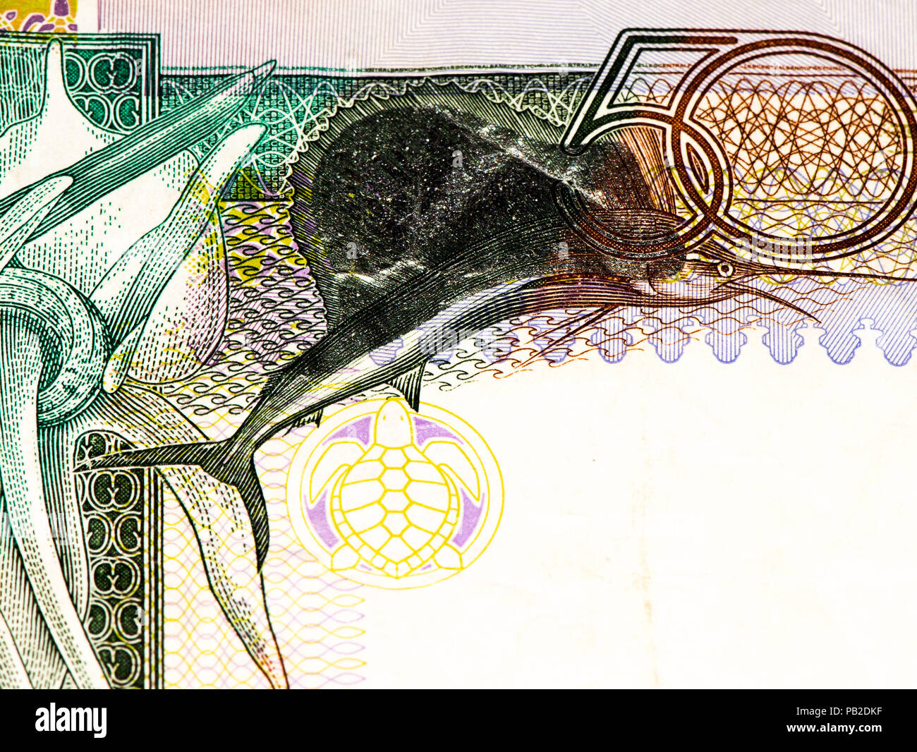 50 roupie Seychelloise billet de banque, la monnaie nationale des Seychelles Banque D'Images