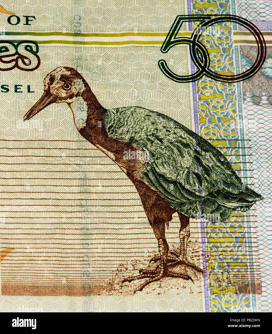 50 roupie Seychelloise billet de banque, la monnaie nationale des Seychelles Banque D'Images