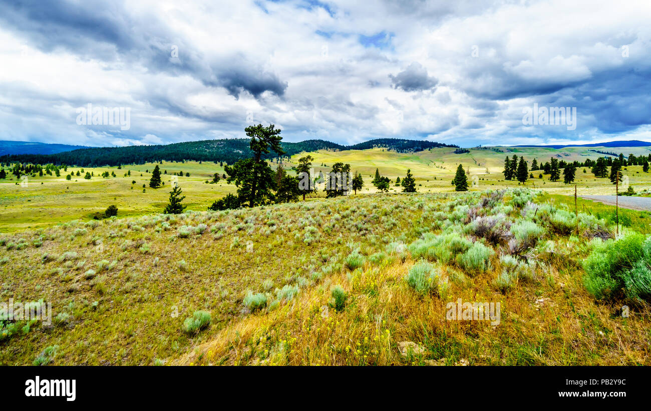 Des nuages sombres qui pèsent sur les terres fertiles et de collines le long de la route 5A près de Nicola Lake, entre Kamloops et Merritt dans la région de Okanagen Banque D'Images