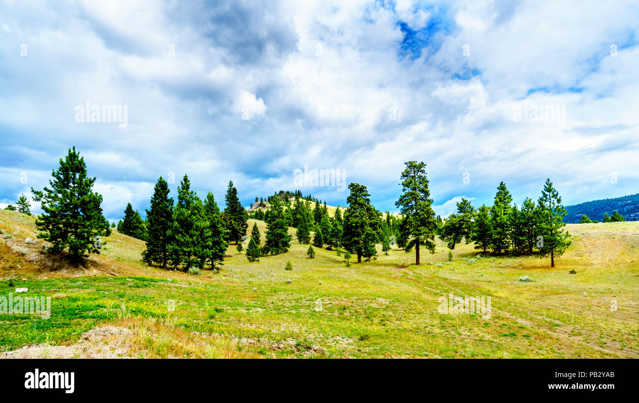 Des nuages sombres qui pèsent sur les terres fertiles et de collines le long de la route 5A près de Nicola Lake, entre Kamloops et Merritt dans la région de Okanagen Banque D'Images