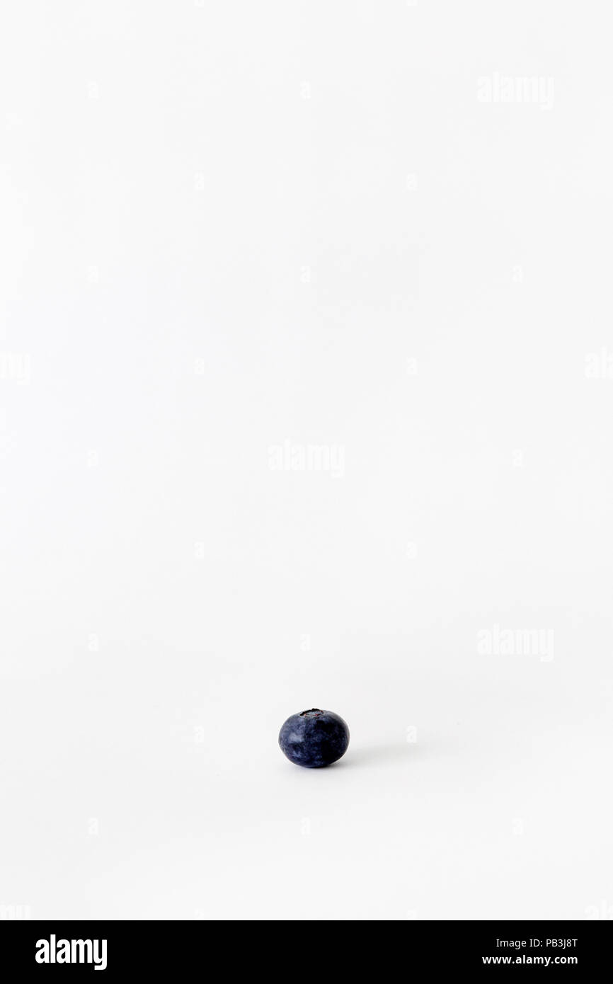 Un blueberry sur fond blanc Banque D'Images