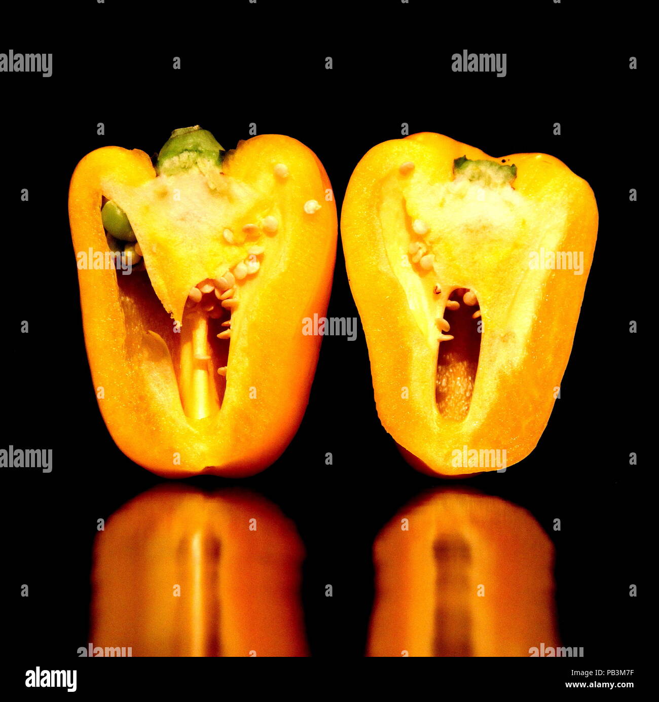 Aliments et boissons. Le poivron. Poivron jaune coupé en deux en position verticale avec fond noir. Le poivron est un fruit pas un légume. Les poivrons sont indigènes à l'Amérique mais sont cultivés dans le monde entier. Le poivron est un membre du genre Capsicum, mais ne provoque pas de brûlure lors de la consommation. Les poivrons sont un élément clé dans de nombreuses cuisines dans de nombreux pays. Banque D'Images