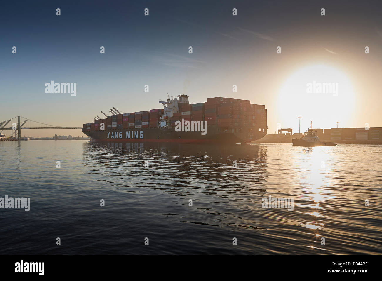 Le YANG MING porte-conteneurs géant, YM l'unanimité, entre dans le chenal principal de Los Angeles, en route pour le Port de Los Angeles, Californie, USA. Banque D'Images