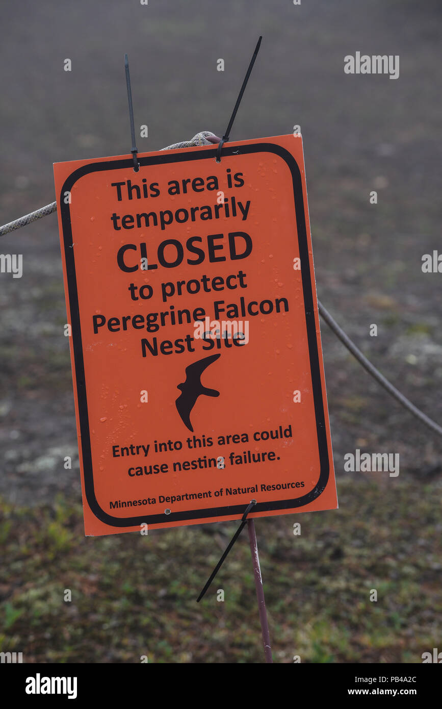 Signe, Peregrin pèlerin (Falco peregrinus) site de nidification, Tettegouche SP, MN, USA, par Bruce Montagne/Dembinsky Assoc Photo Banque D'Images