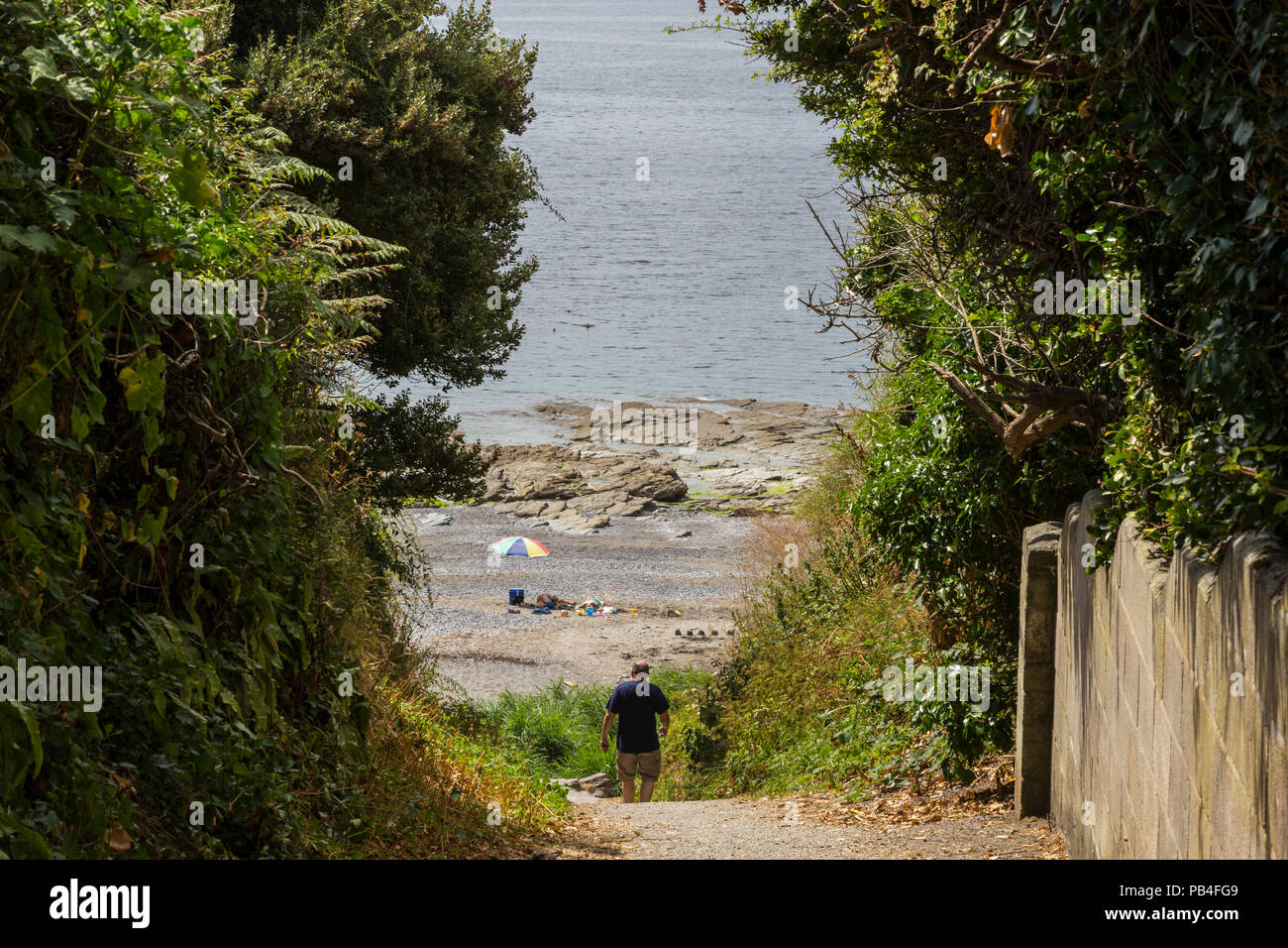 Sentier jusqu'à la plage à Donderry, sur la côte sud des Cornouailles), Cornwall, UK Banque D'Images