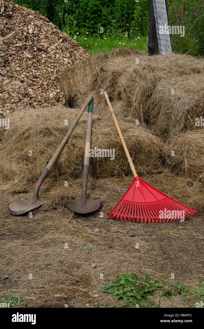 Outils du jardin sur le foin, jardin communautaire, Maine, USA Banque D'Images