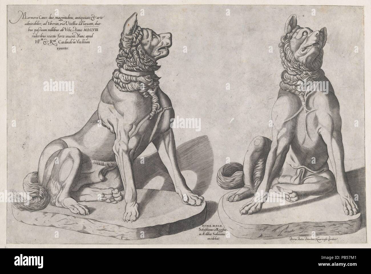 Speculum Romanae Magnificentiae : deux chiens. Artiste : Sebastiano di Re (Italien, actif à Rome, 1557-63). Fiche technique : Dimensions : 13 x 19 7/16 po. (33 x 49,4 cm) mont : 16 7/8 x 22 3/16 po. (42,8 x 56,3 cm). Editeur : Pietro Paolo Palumbo (Italien, actif à Rome, 1563- ?1586). Series/portefeuille : Speculum Romanae Magnificentiae. Date : 1558. Cette impression vient de la copie du musée du Speculum Romanae Magnificentiae (le miroir de la Magnificence romaine) Le Speculum a trouvé son origine dans le secteur de l'édition s'efforce d'Antonio Salamanca et Antonio Lafreri. Au cours de leurs carrières, l'édition romaine deux affaires Banque D'Images