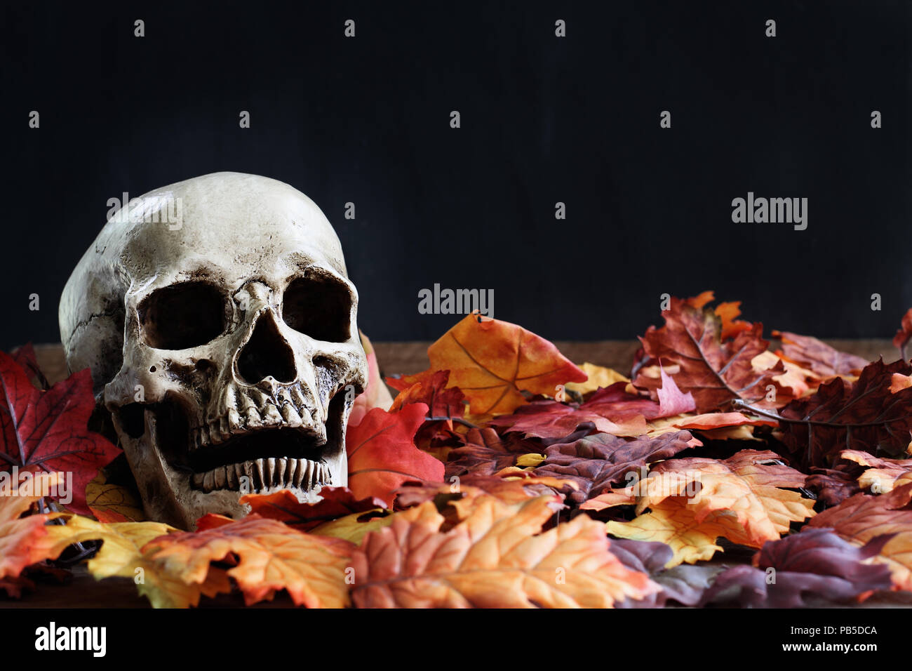 Halloween crâne humain couché dans les feuilles d'automne avec copie espace pour le texte sur un fond noir. Banque D'Images