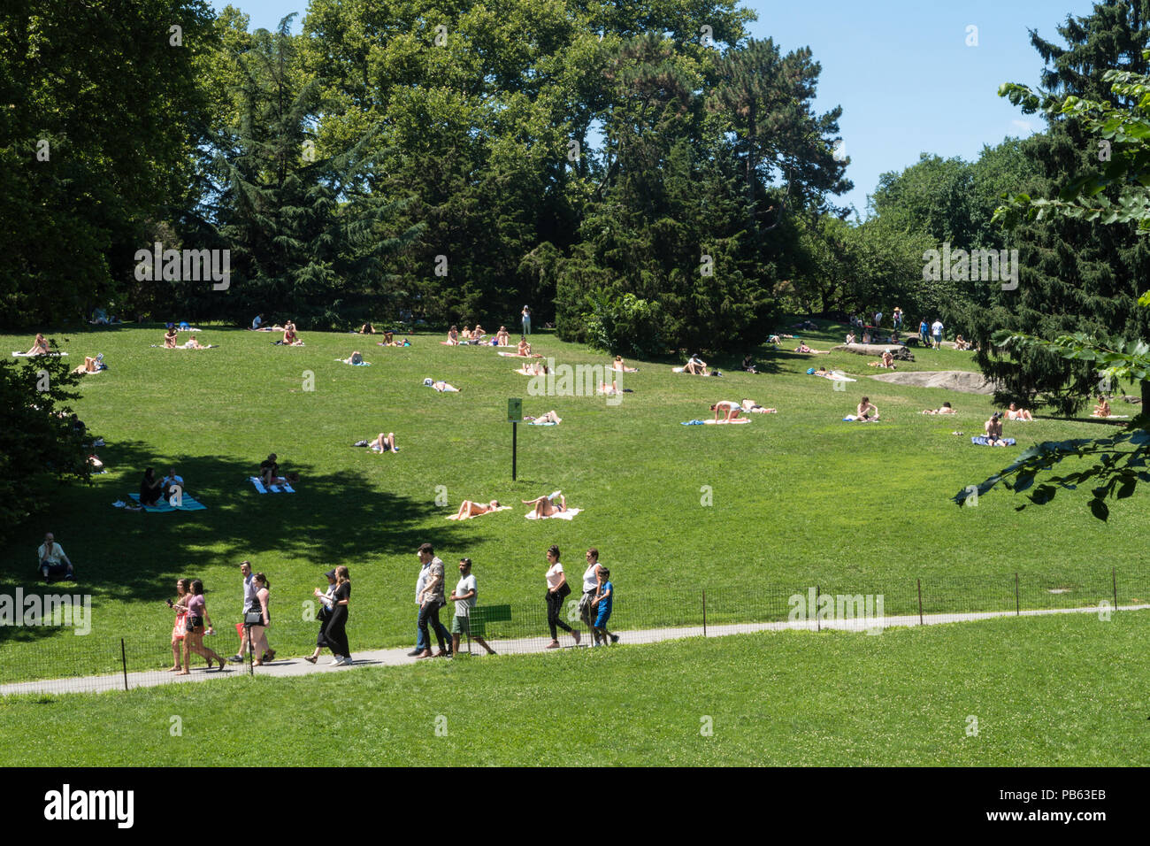 Central Park en été, NYC, USA Banque D'Images