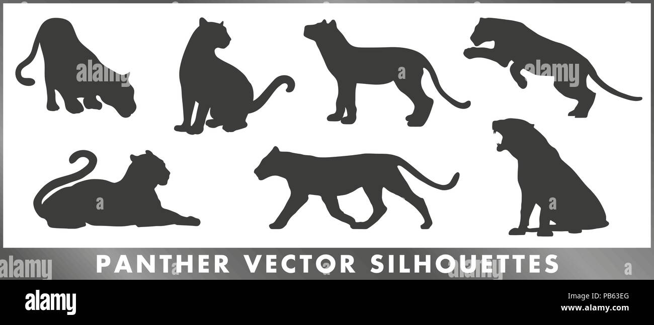 Un groupe de panther silouettes - graphique de scénario. Illustration de Vecteur