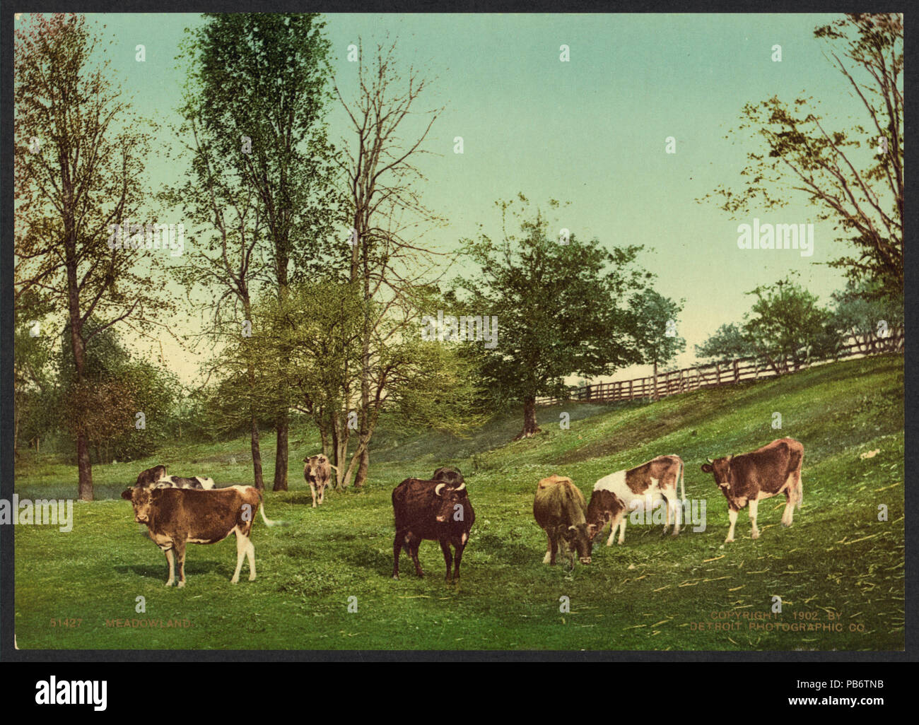 1011 Meadowland-RCAC2008678172 Banque D'Images