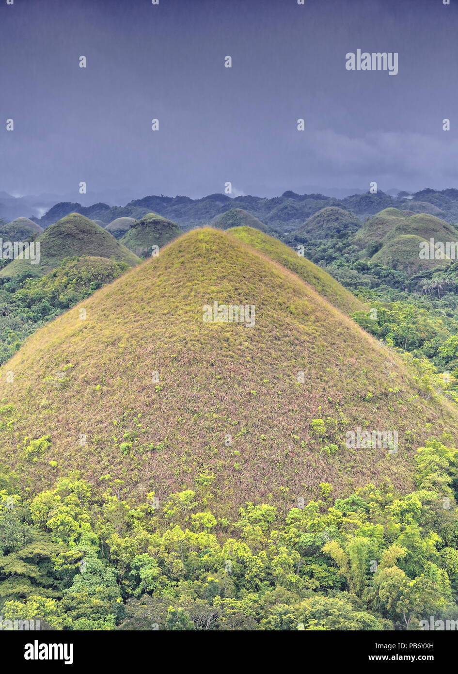 Collines de chocolat formation géologique-terrain vallonné des collines de forme conique-haycock buttes calcaires couverts d'herbe-elle tourne brun chocolat dans le dr Banque D'Images