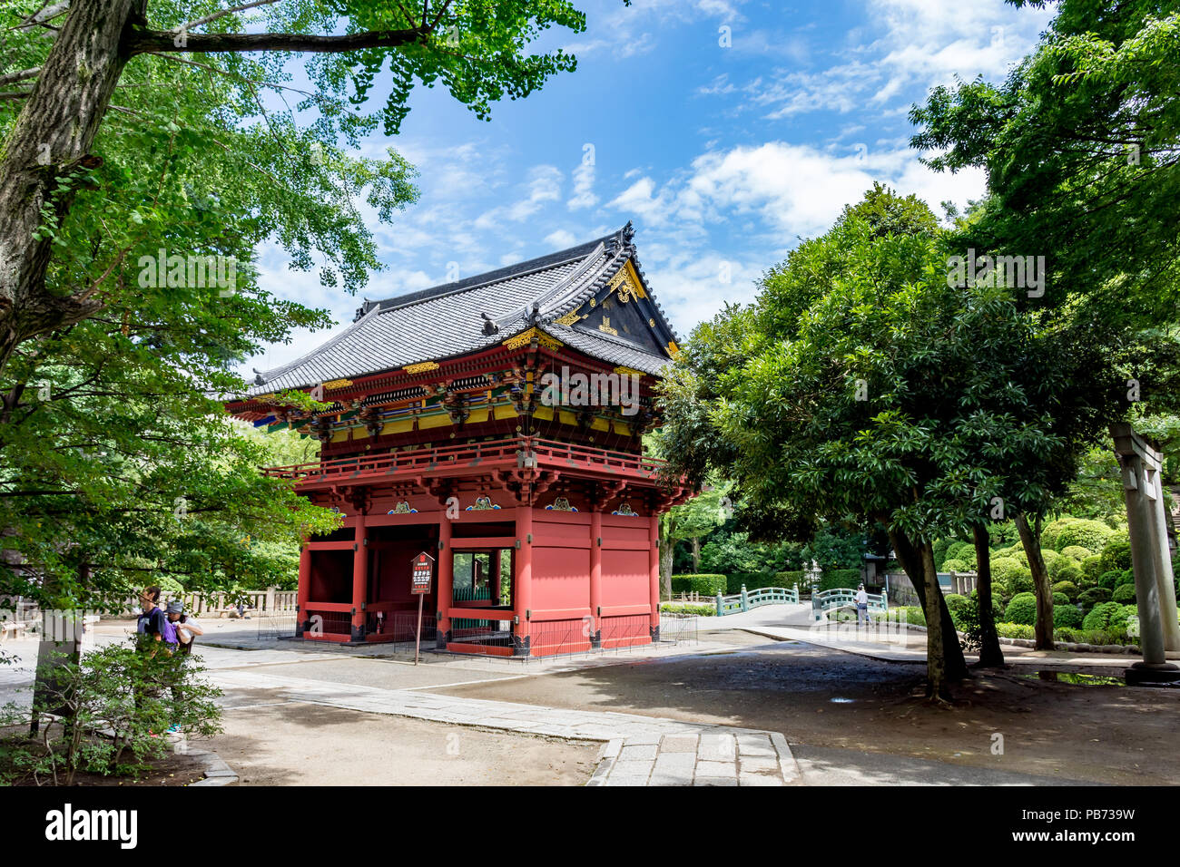 Caché dans les arbres, le sanctuaire Nezu, Nezu, Bunkyo, Tokyo Banque D'Images
