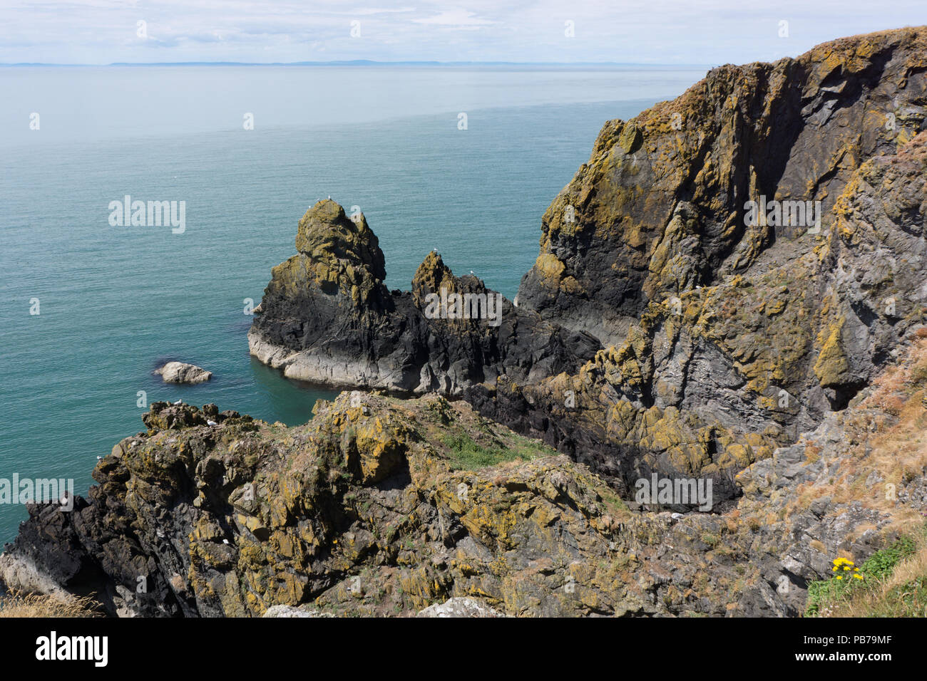 Littoral près de Portpatrick. Dumfries et Galloway. L'Ecosse Banque D'Images