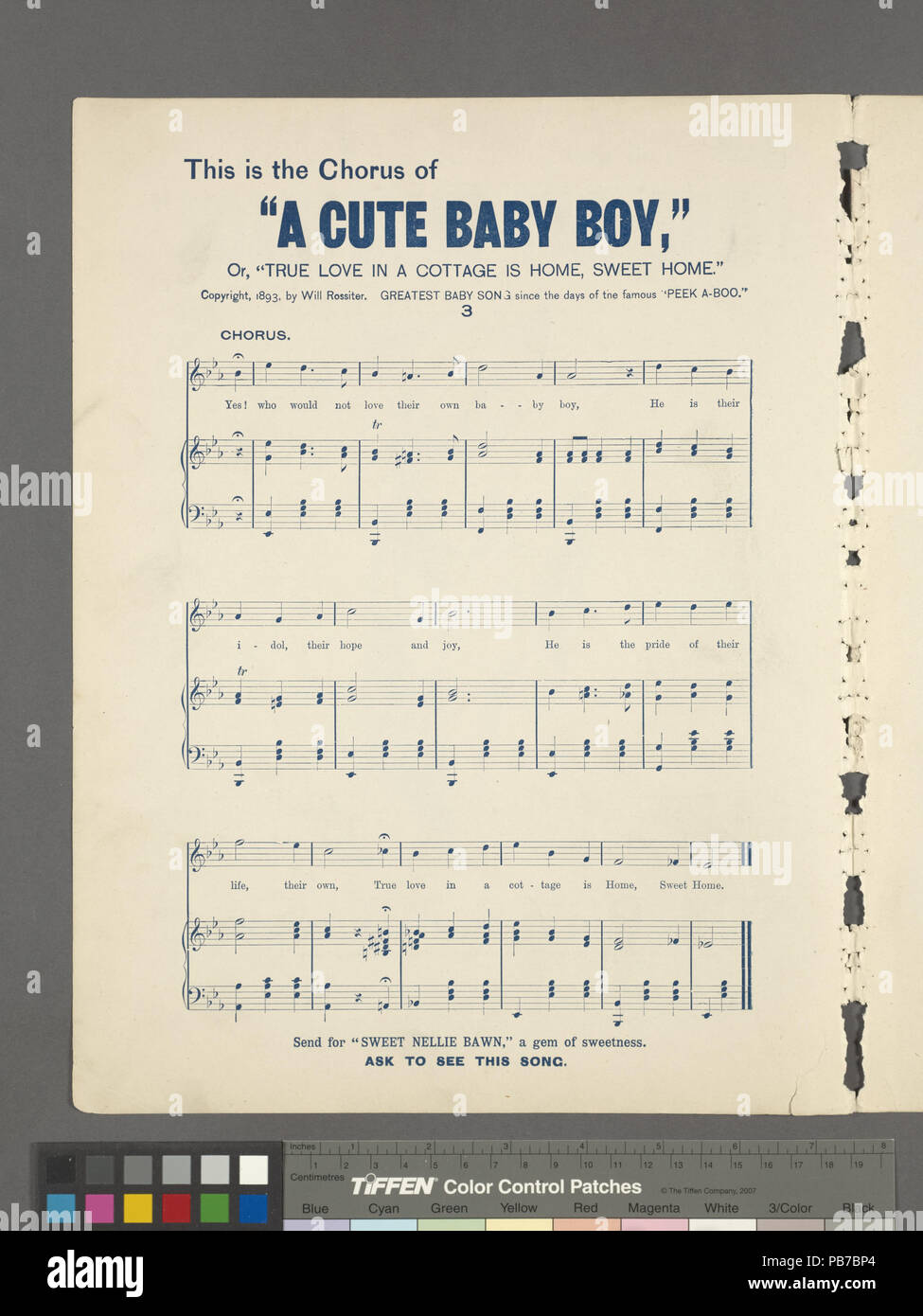 1621 Le chat est revenu (NYPL)-449136-1690565 Hades Banque D'Images