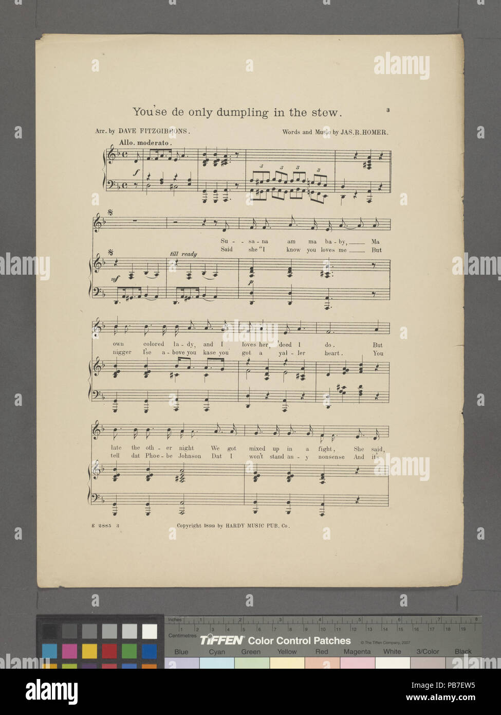 1878 vous'se la seule boulette dans le stew (NYPL)-609486-1999302 Hades Banque D'Images