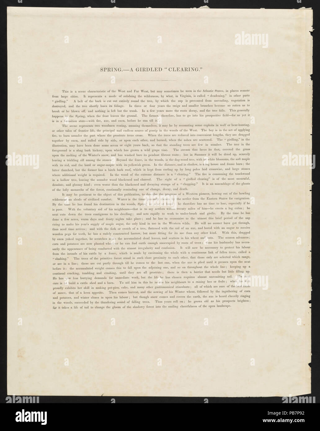 Au printemps 1560. N° 2. La combustion des arbres tombés dans un centre d'annelage Western Scene RCAC2002709048 Banque D'Images