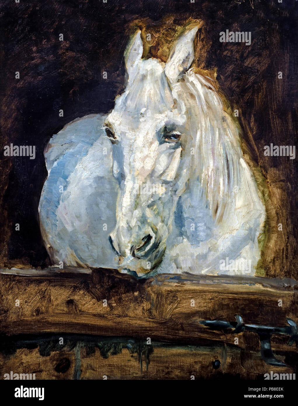 Cheval blanc ( ) Gazelle 1881 Henri de Toulouse Lautrec 1864-1901 France French Banque D'Images