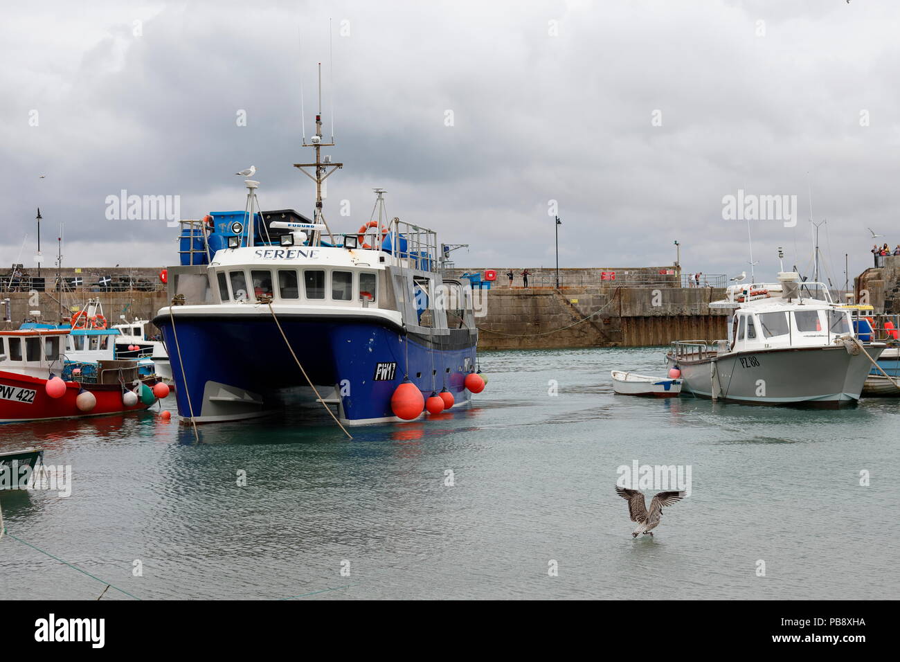 Newquay, Cornwall, UK. 27 juillet, 2018. Une grande promenade en catamaran bateau est amarré au port de Newquay. Credit : Nicholas Burningham/Alamy Live News Banque D'Images