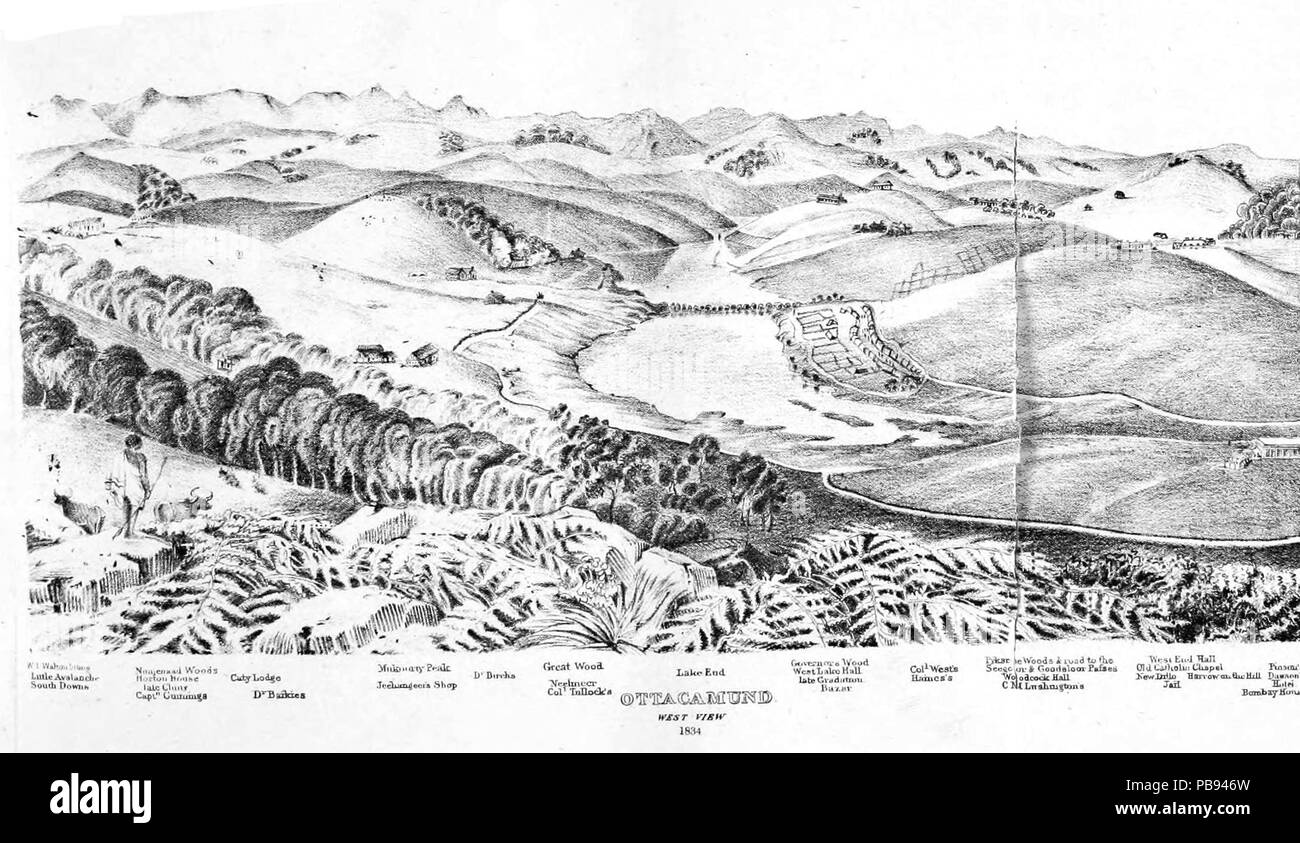 1139 west view Ooty Banque D'Images