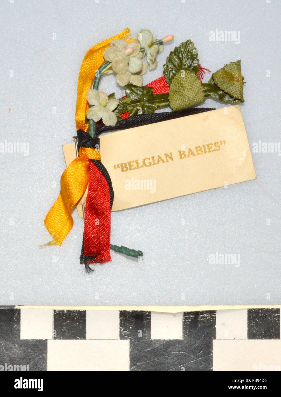 1870 La Première Guerre mondiale, les Bébés belges Forget-Me-Not Corsage Banque D'Images