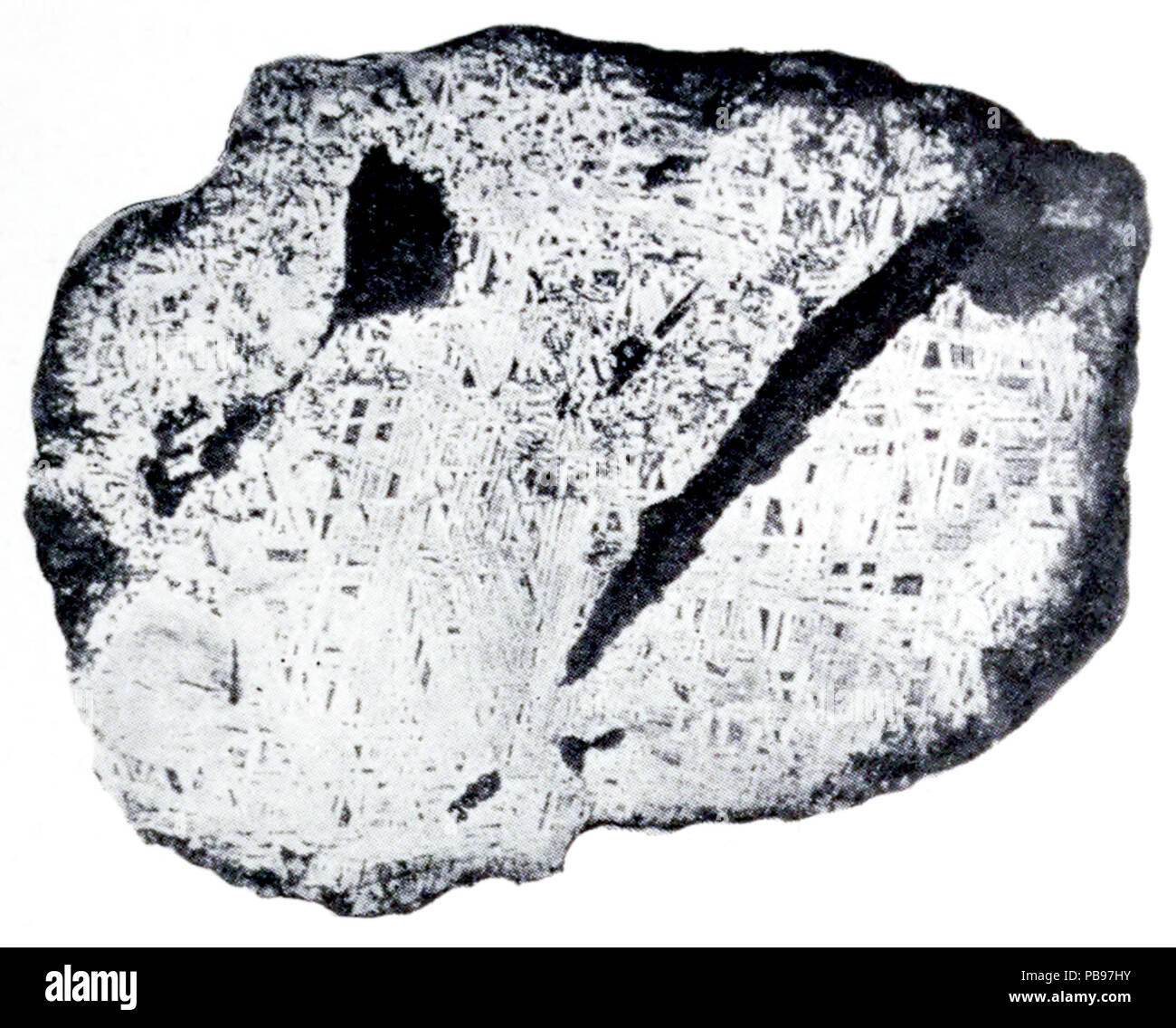 1632 L'évolution des Mondes 0067 Banque D'Images