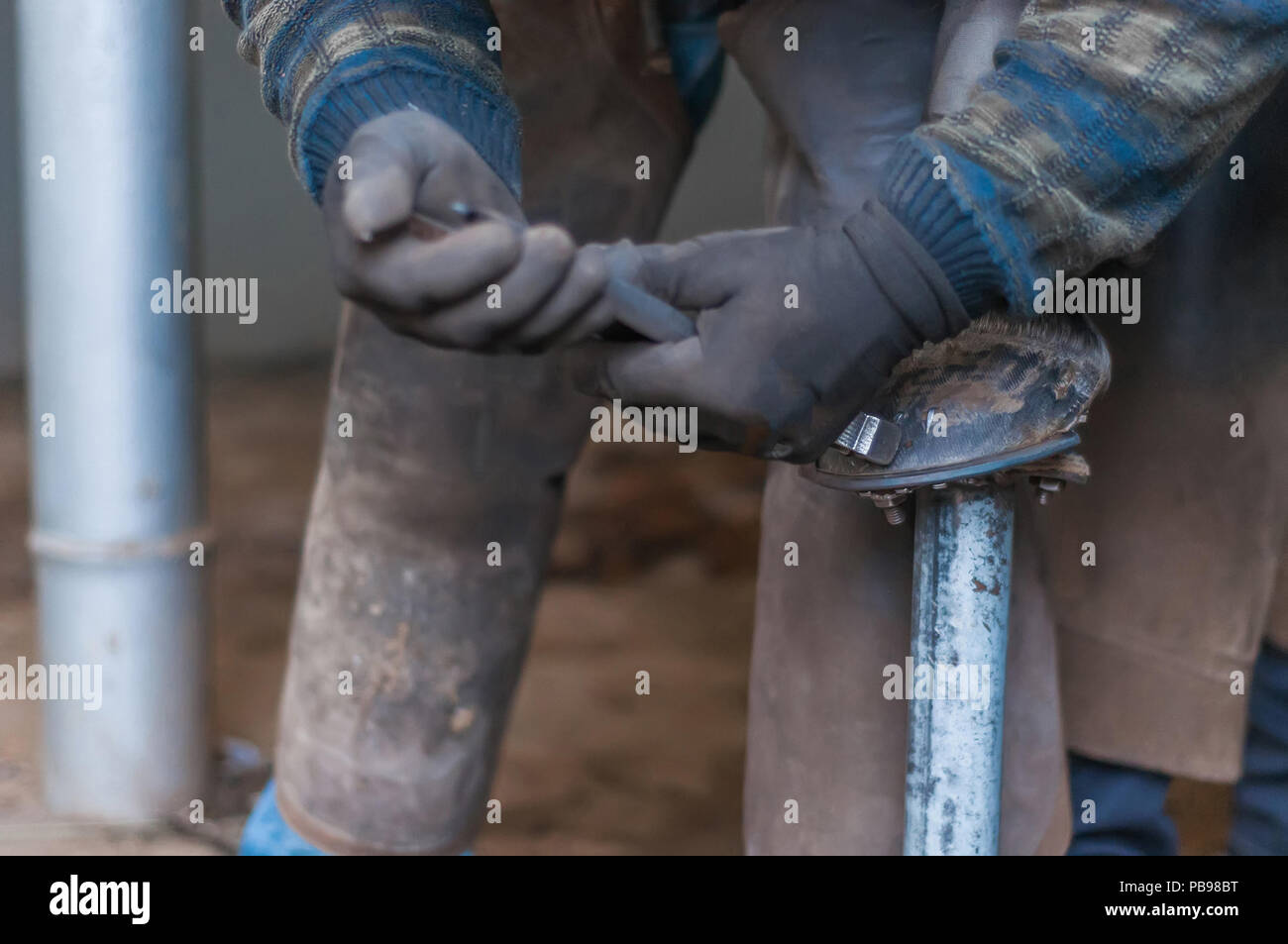 Mise en place du forgeron metal horse shoes au cheval. Banque D'Images