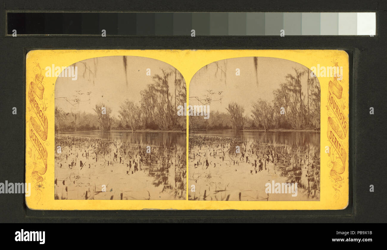 1537 Silver Spring River (NYPL b11707408-G90F132 007F) Banque D'Images