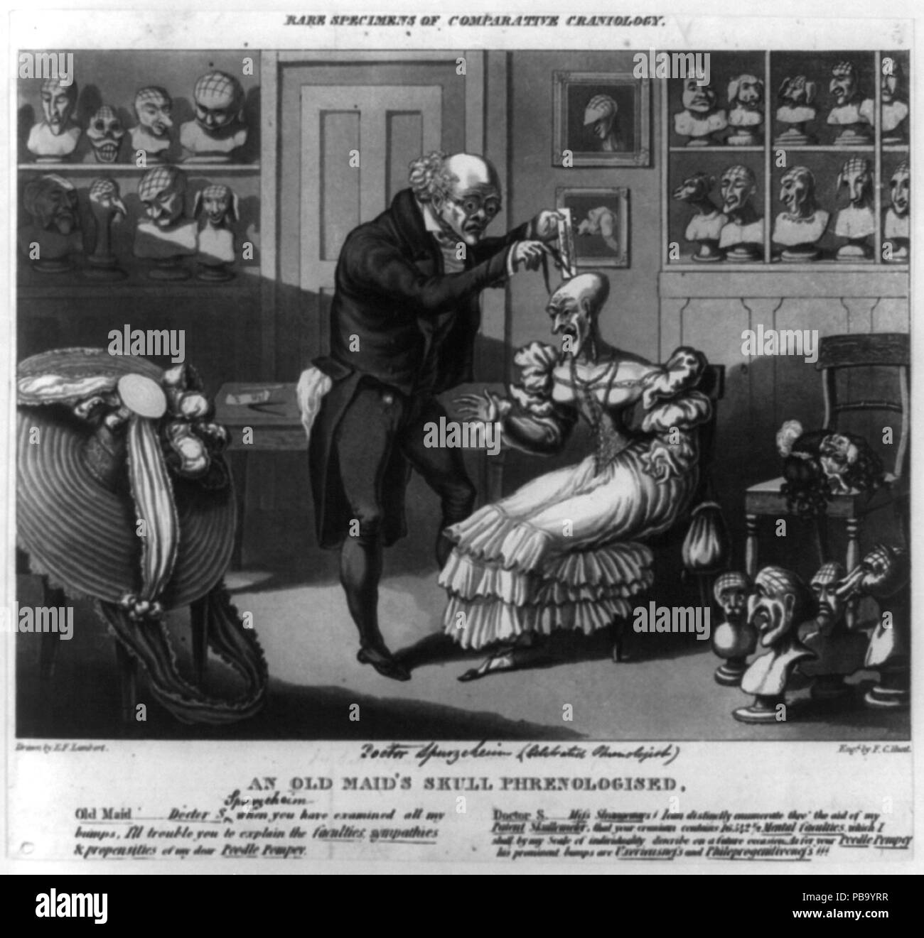 1245 rares spécimens de craniology comparative- un crâne de la vieille fille phrenologised RCAC2002714834 Banque D'Images