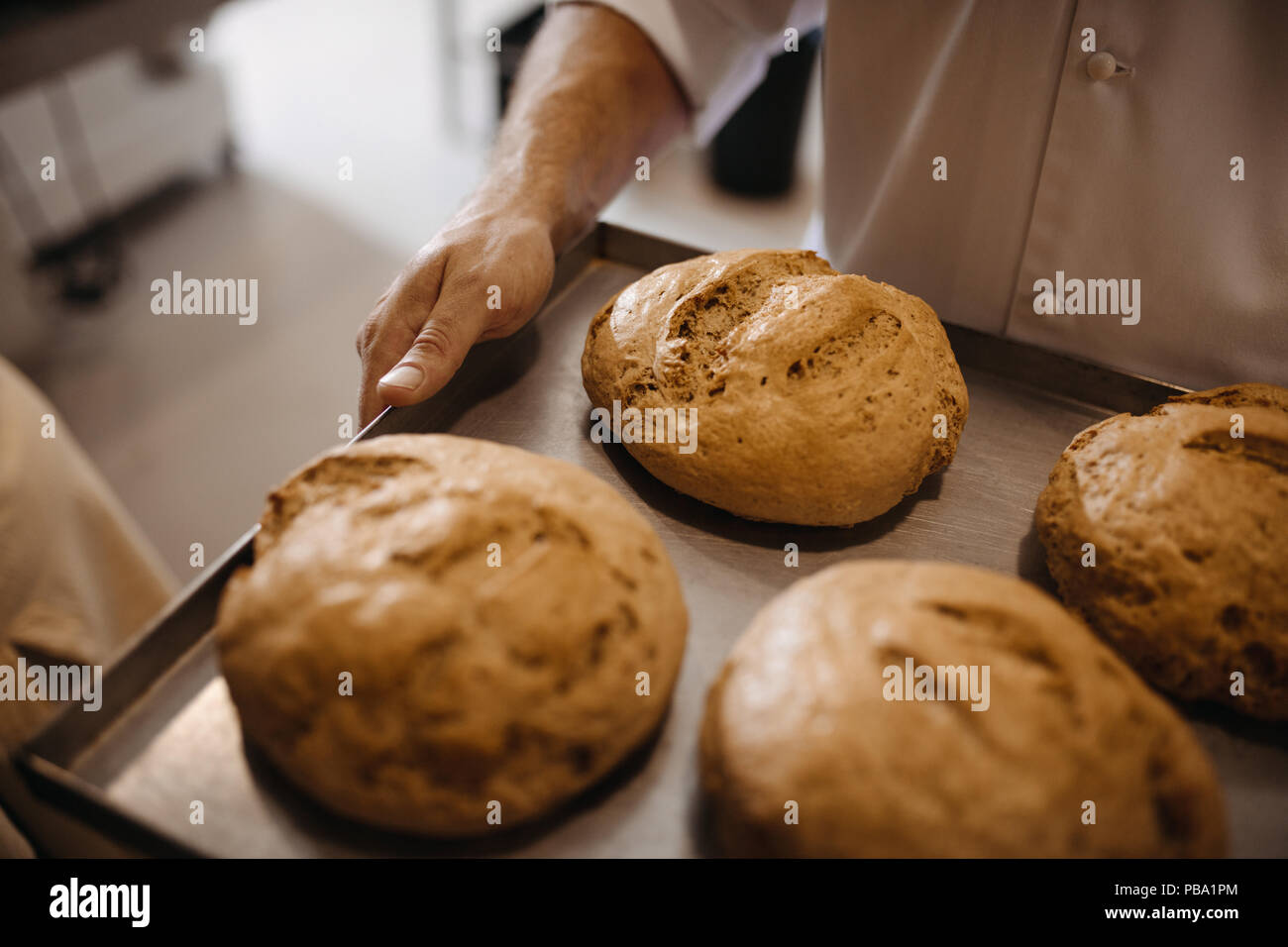 Close up of pain sur une plaque à pâtisserie dans la main d'un boulanger. Déménagement homme un plateau de pain dans une boulangerie. Banque D'Images