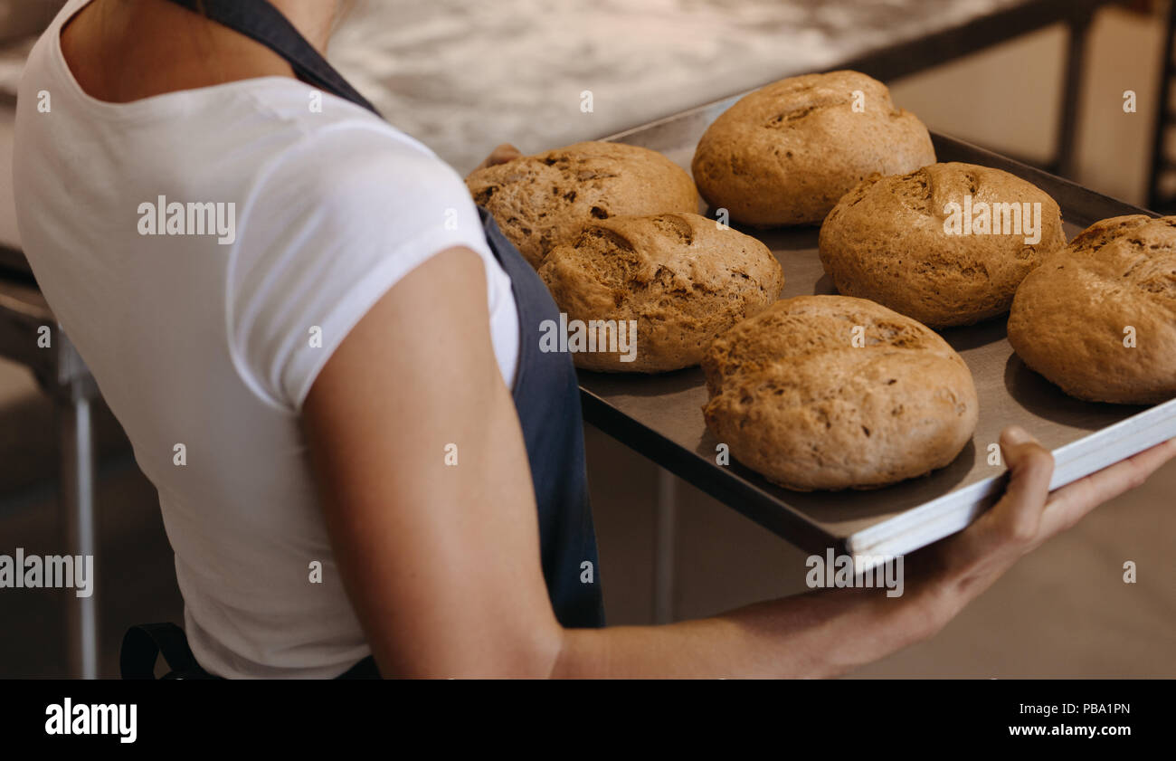 Close up of female baker holding a du pain sur une plaque de cuisson pour femme portant un plateau avec du pain frais dans une boulangerie. Banque D'Images