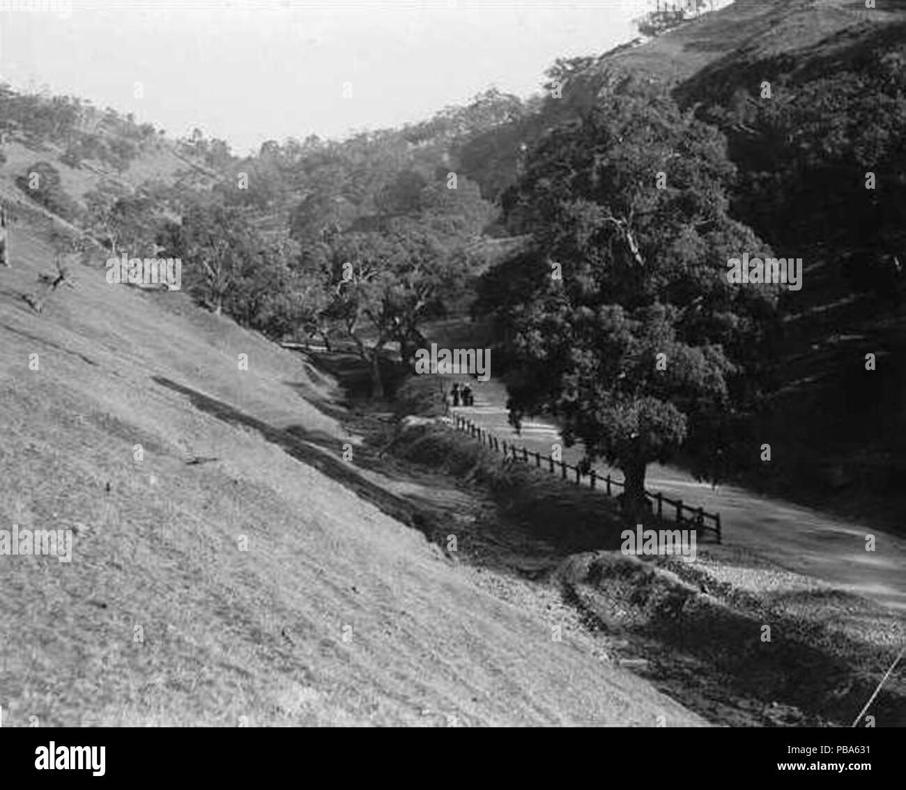 . Anglais : Mount Barker Road près de Glen Osmond, Adélaïde, Australie du Sud . vers 1900 1062 Mont barker road 1900 Banque D'Images