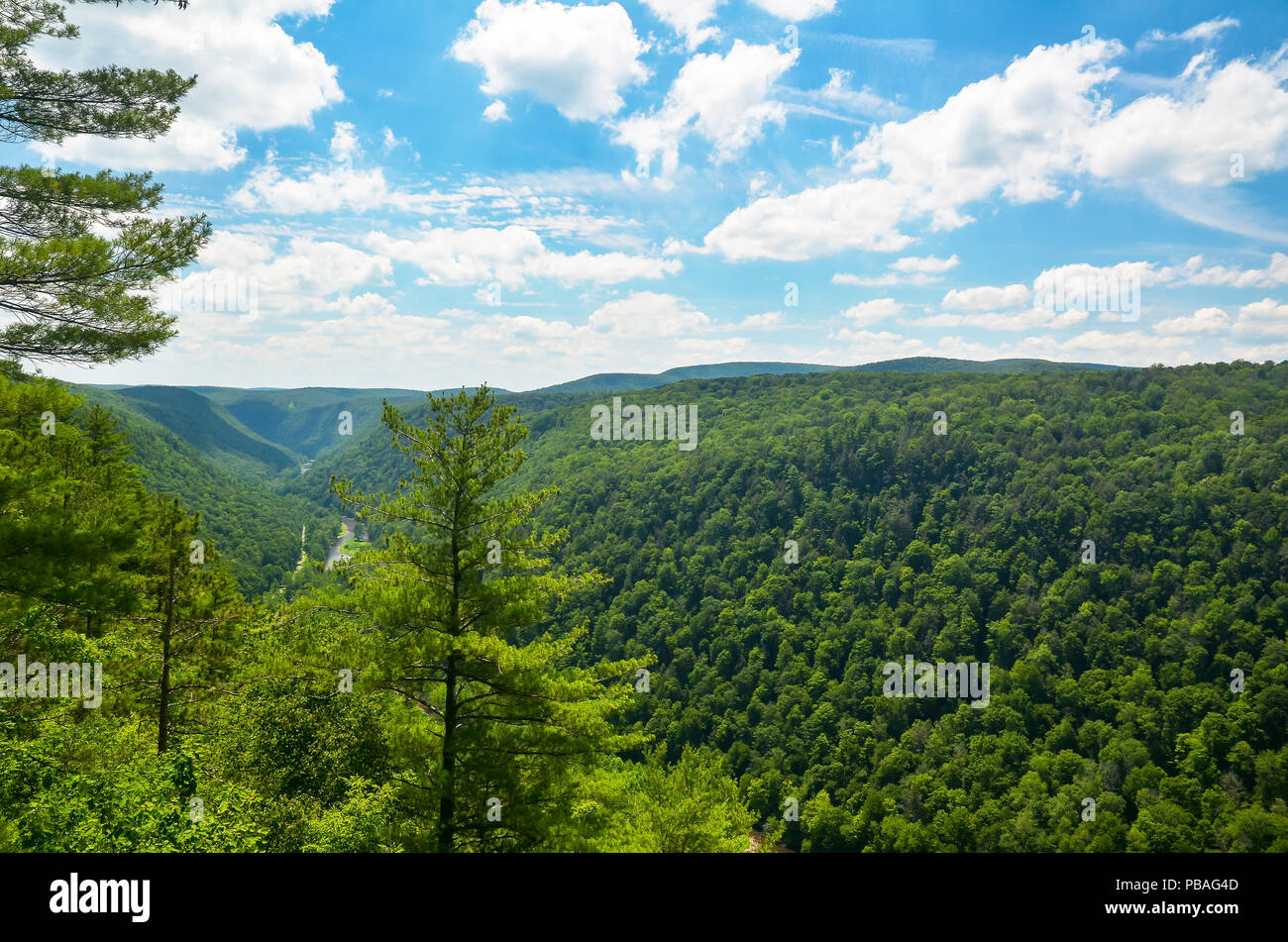 Gorge de Pine Creek, aussi appelé le Grand Canyon du Colorado. A 47 km de long, 1000 pieds de profondeur gorge qui serpente à travers le centre-nord de la Pennsylvanie. Banque D'Images