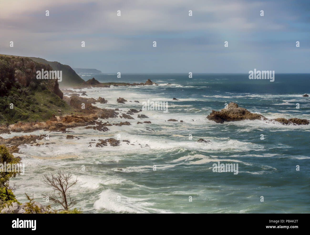 Vagues se brisant sur la côte de Featherbed Nature Reserve, en Afrique du Sud. Banque D'Images
