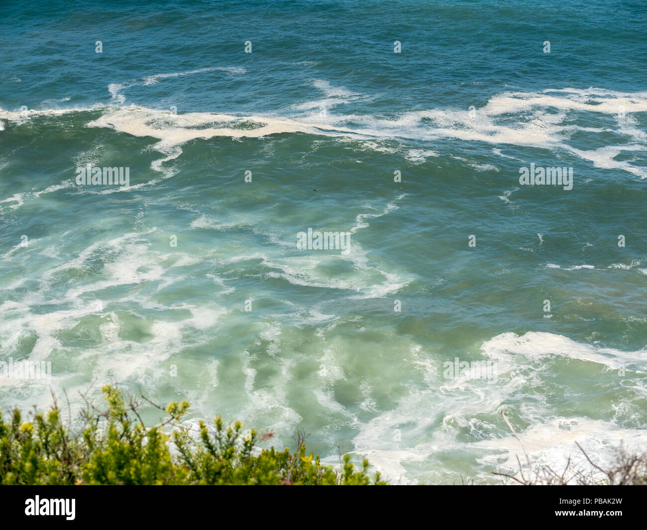 Le fracas des vagues à Featherbed Nature Reserve, en Afrique du Sud. Banque D'Images