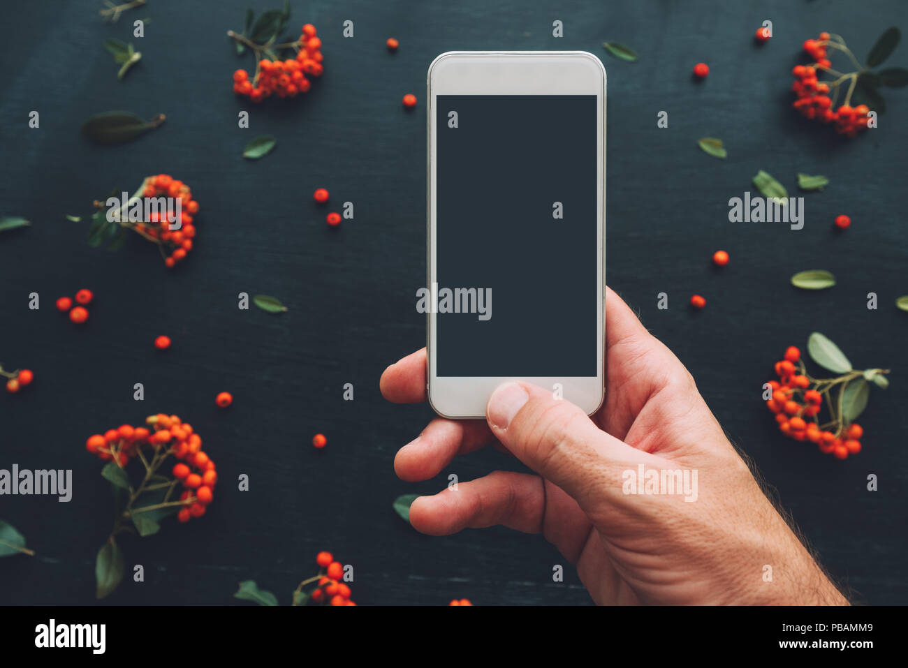 La main à l'aide de l'écran du smartphone des maquettes sur fond sombre avec arrangement de fleurs Banque D'Images