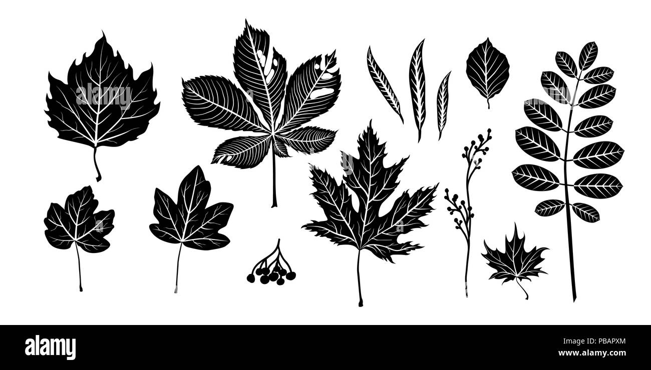 Les feuilles noir isolé. Illustration de Vecteur