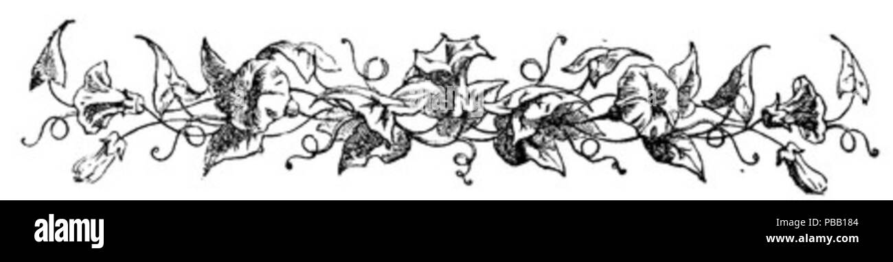 1059 Matin Gloire Border Banque D'Images