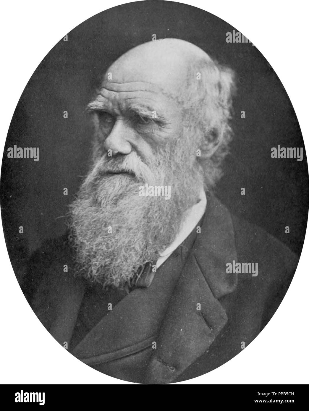 1101 1905 Charles Darwin NIE Banque D'Images