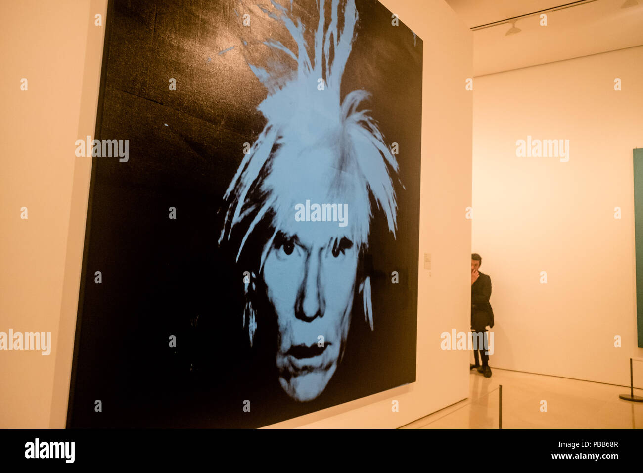 Andy Warhol exposition tenue à Malaga, en Espagne, en juillet 2018 Banque D'Images