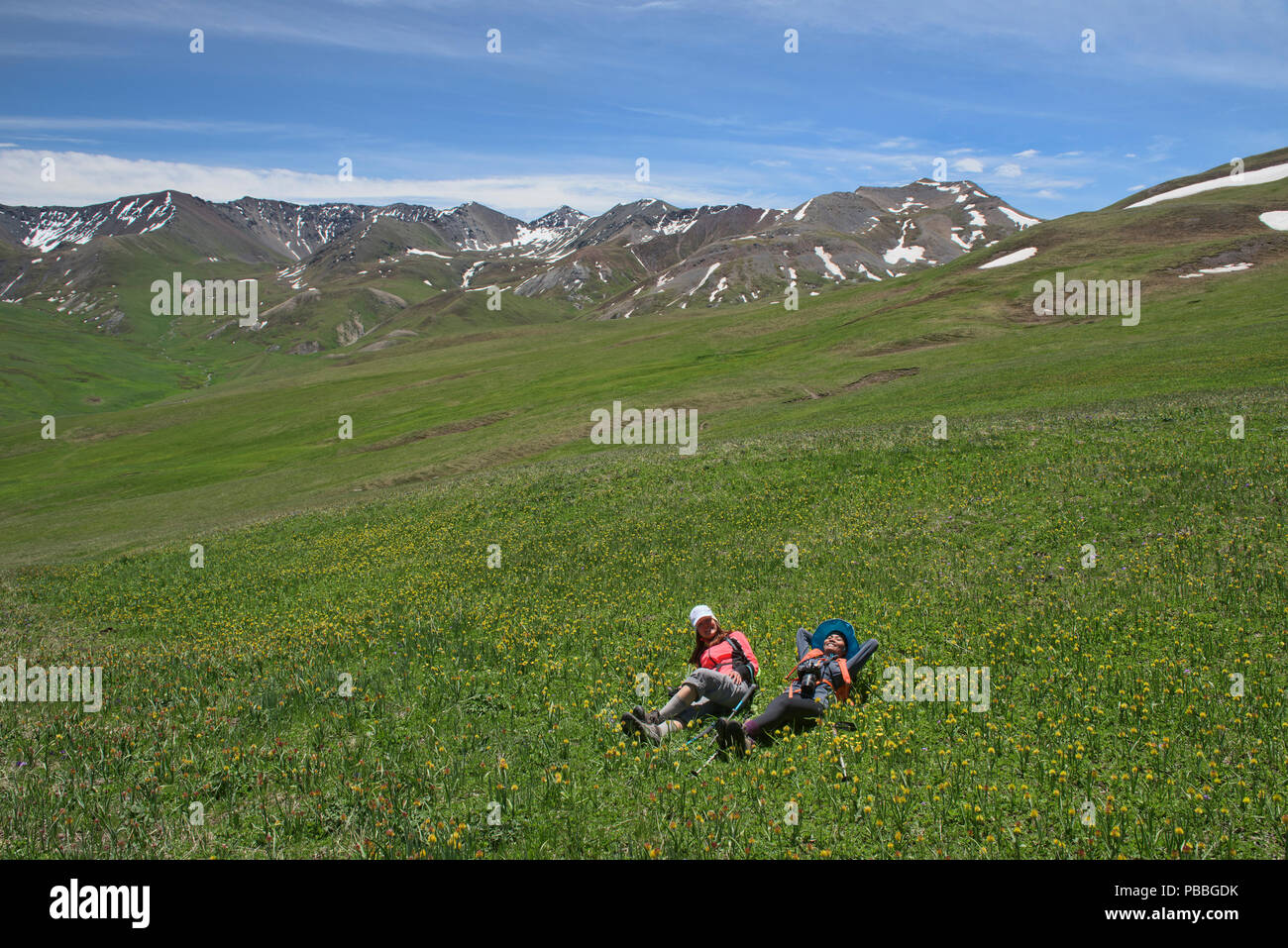 Les champs de fleurs sauvages avec l'alpine sur Keskenkija Jyrgalan, Kirghizistan, Trek Banque D'Images