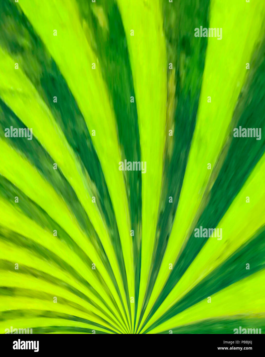 Une colline ressemble à une peinture après vert herbe a été fraîchement coupée. Teintes claires et sombres dépendent de la direction dans laquelle la lame coupe. Banque D'Images