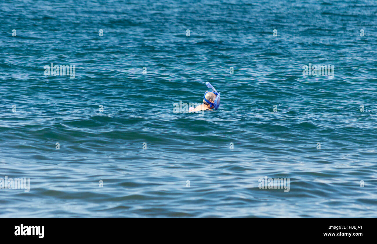 A senior woman wearing a tout le visage des tubas dans l'océan Pacifique, Maui, Hawaii, USA Banque D'Images