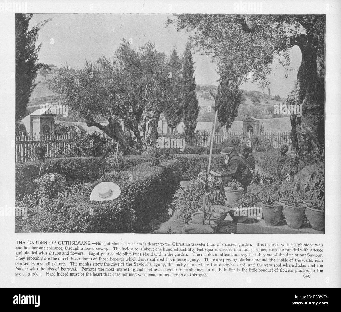 1146 à l'extérieur de Jérusalem. À l'intérieur de Gethsémani, 40.terre sainte photographié. Daniel B. Shepp. 1894 Banque D'Images