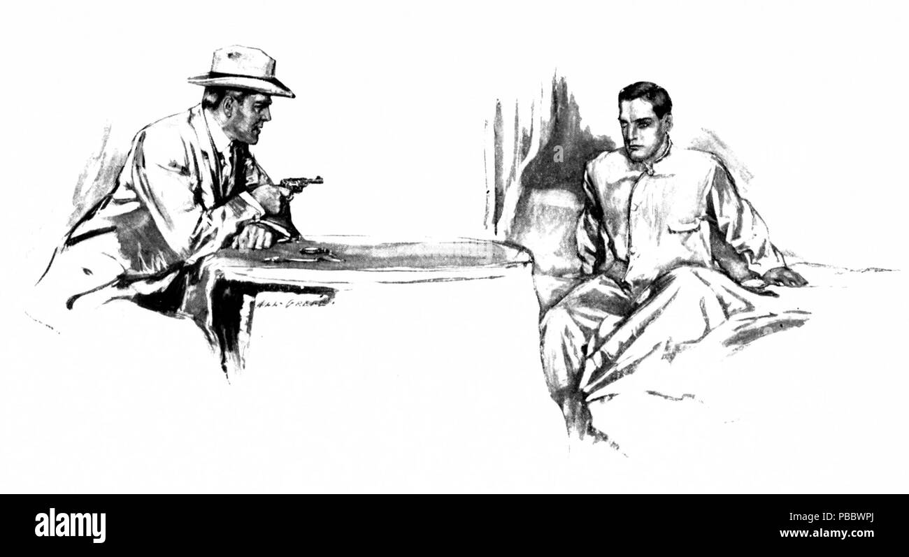 1148 p 216--Le chat Siamois Banque D'Images