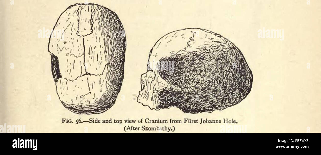 1148 p.175-fig.56-Palaeolithic Homme Terramara et villes de l'Europe Banque D'Images