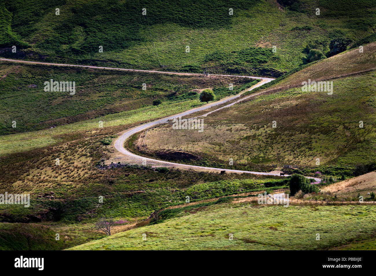 Cambrian mountains desolate road près de Llyn Brianne Reservoir en fin d'après-midi la lumière Banque D'Images