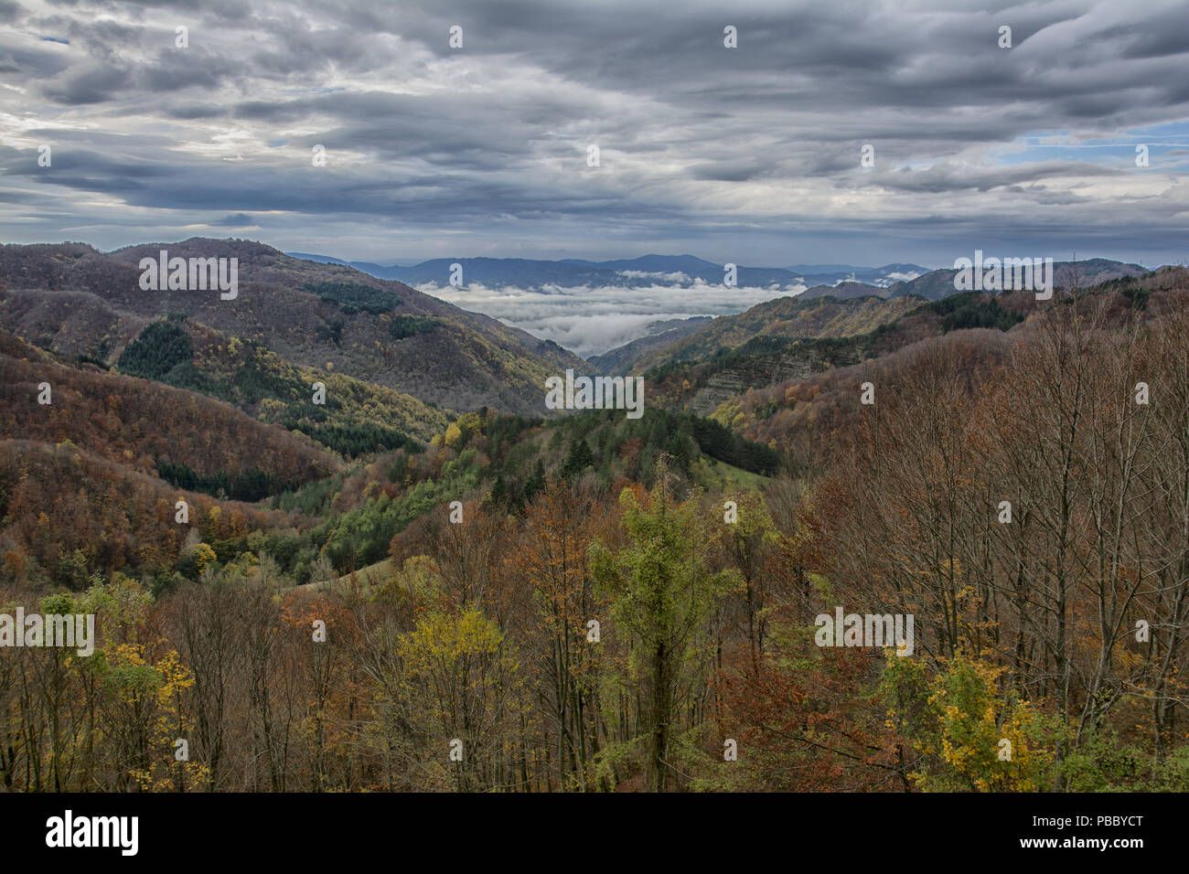 La VALLÉE EN AUTOMNE Banque D'Images