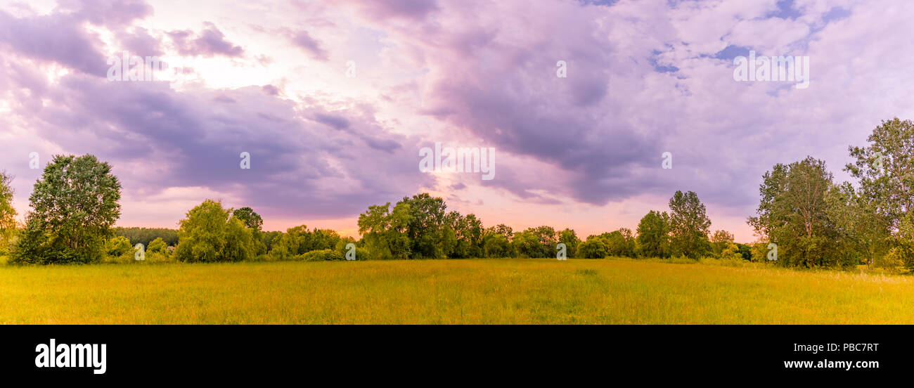 Paysage du lever du soleil sur la montagne. Nuages ciel coloré et spectaculaire au-dessus des arbres verts et des fleurs des prés d'été Banque D'Images